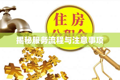 辽阳揭秘服务流程与注意事项