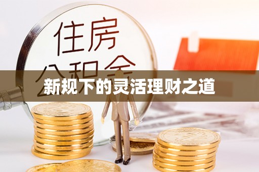 辽阳新规下的灵活理财之道