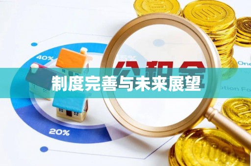 辽阳制度完善与未来展望