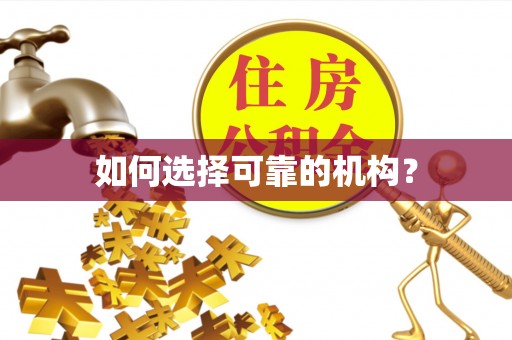 辽阳如何选择可靠的机构？