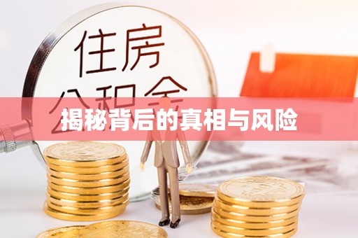 辽阳揭秘背后的真相与风险