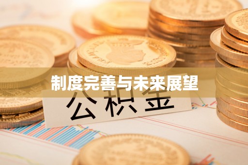 辽阳制度完善与未来展望