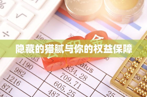 辽阳隐藏的猫腻与你的权益保障