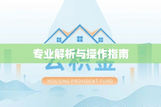 辽阳专业解析与操作指南