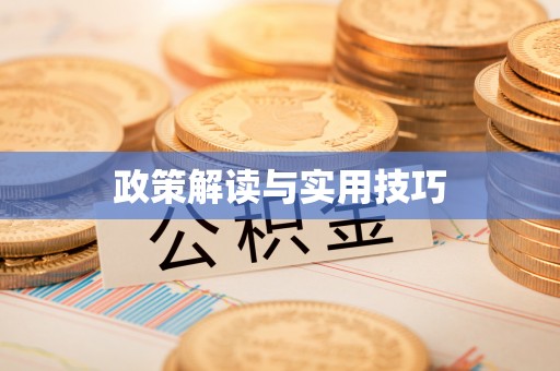 辽阳政策解读与实用技巧
