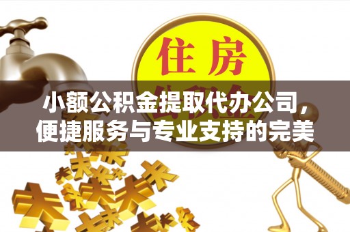 辽阳小额公积金提取代办公司，便捷服务与专业支持的完美结合