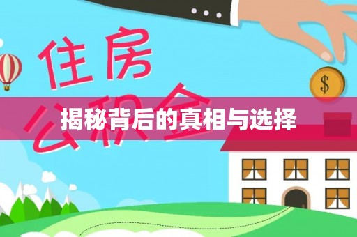 辽阳揭秘背后的真相与选择