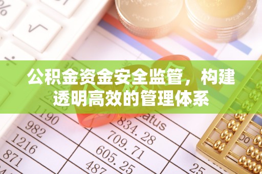 辽阳公积金资金安全监管，构建透明高效的管理体系