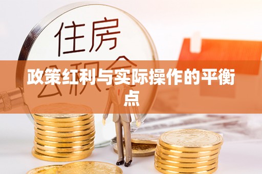 辽阳政策红利与实际操作的平衡点