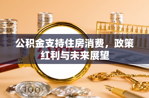 辽阳公积金支持住房消费，政策红利与未来展望