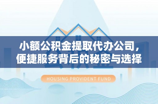 辽阳小额公积金提取代办公司，便捷服务背后的秘密与选择指南