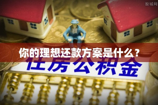 辽阳你的理想还款方案是什么？