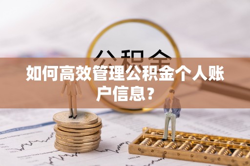 辽阳如何高效管理公积金个人账户信息？