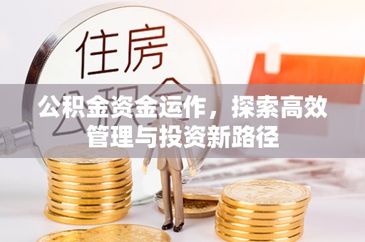 辽阳公积金资金运作，探索高效管理与投资新路径