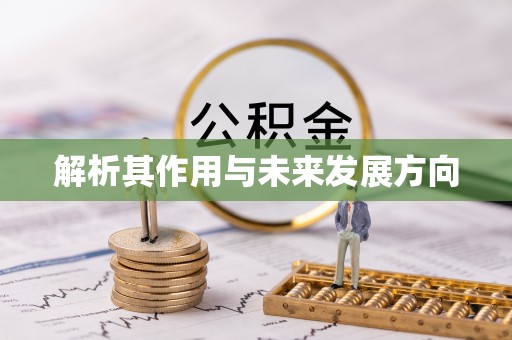 辽阳解析其作用与未来发展方向