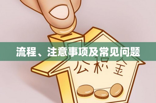 辽阳流程、注意事项及常见问题