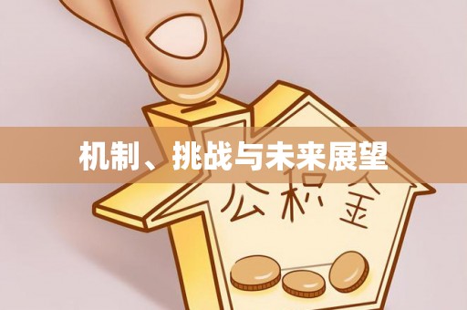 辽阳机制、挑战与未来展望
